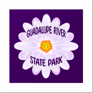 Guadalupe River State Park Posters and Art